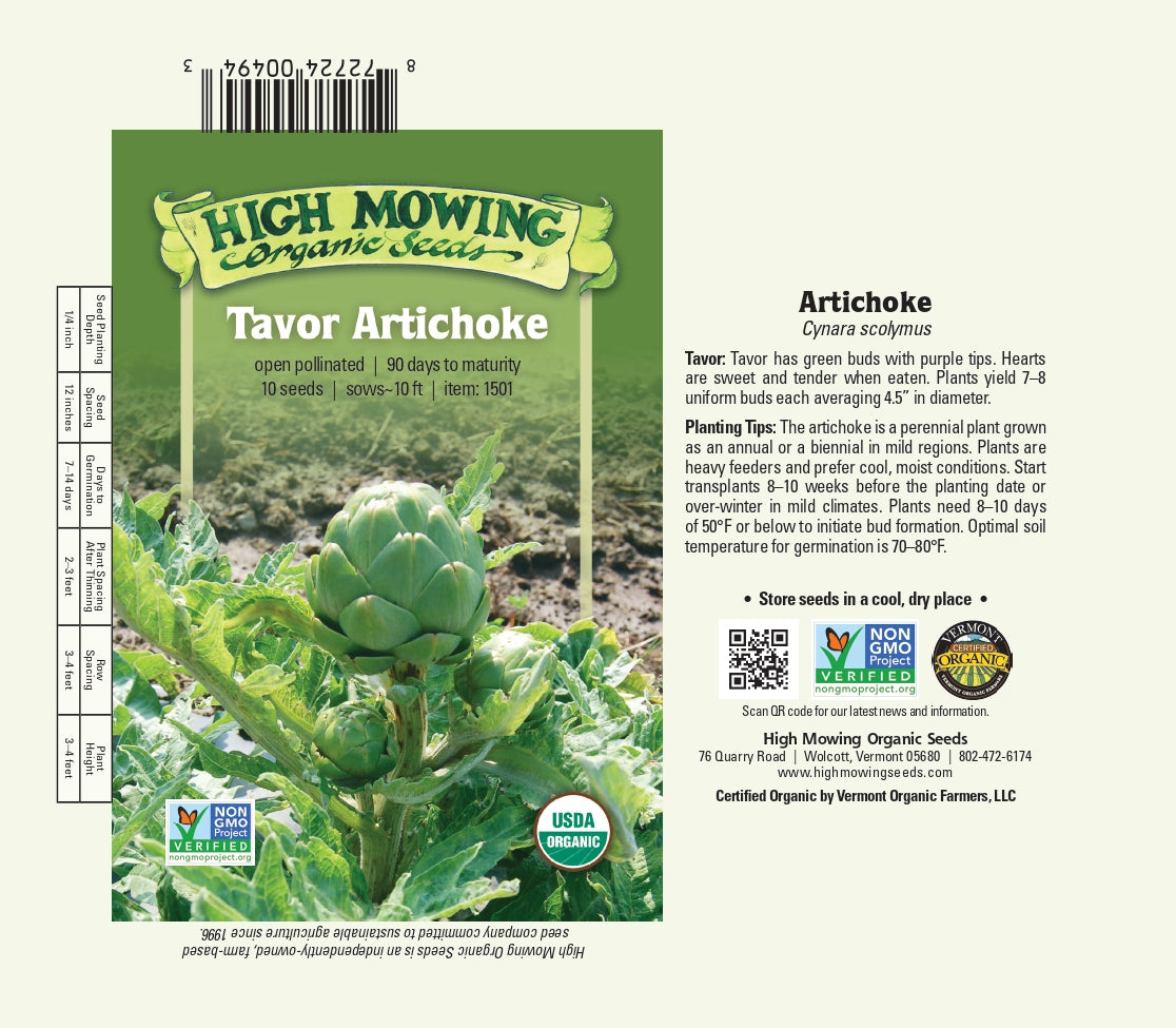 HM Artichoke Tavor Seeds