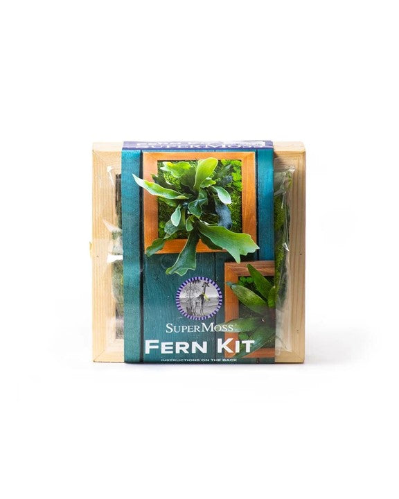 SuperMoss: Fern Kit-6x6 in