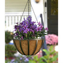 Panacea: Hanging Basket w/Liner-English Wide-14 in