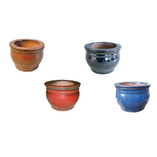Self-Watering Pot Fish Bowl - Assorted - 6x4 in