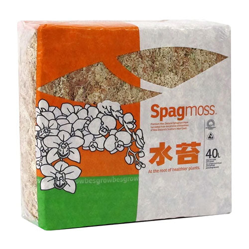 Besgrow: Spagmoss Sphagnum Moss 500 g