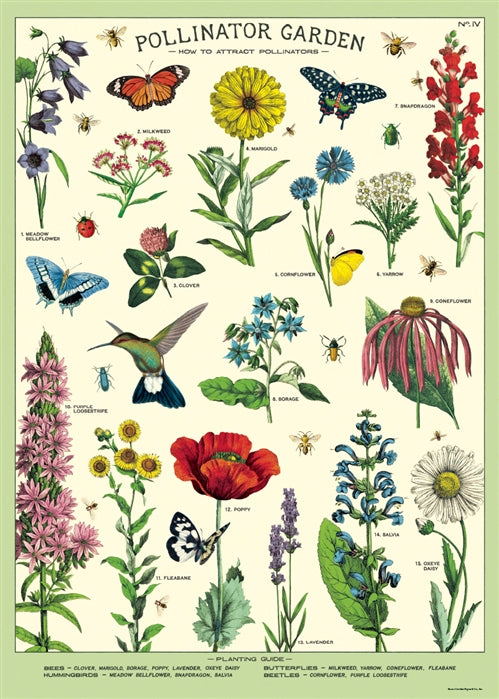 Cavallini Poster: Pollinators