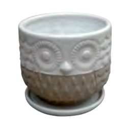 Owl Planter - Assorted - 2.5x2.25 in