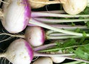 Radish: Sparkler White Tip Seeds