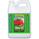 FoxFarm Grow Big - Soil Formula