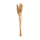 Botanica Collection