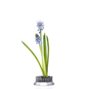 Chive: Floral Frog Round-Medium