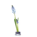 Chive: Floral Frog Round-Small