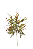 Botanica Collection
