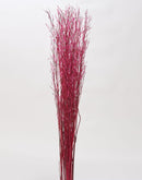 Botanica Collection