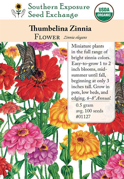 Thumbelina Zinnia Seeds