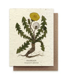 The Bower Studio Dandelion Seeded Greeting Card