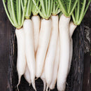 Daikon Radish Seeds