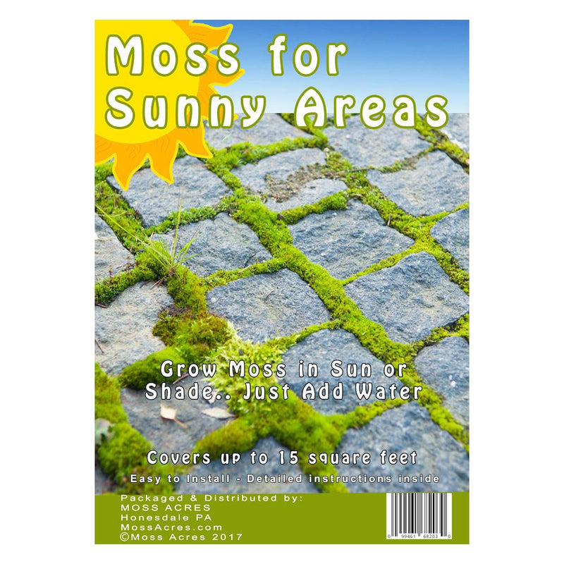 Moss Milkshake for Sunny Areas