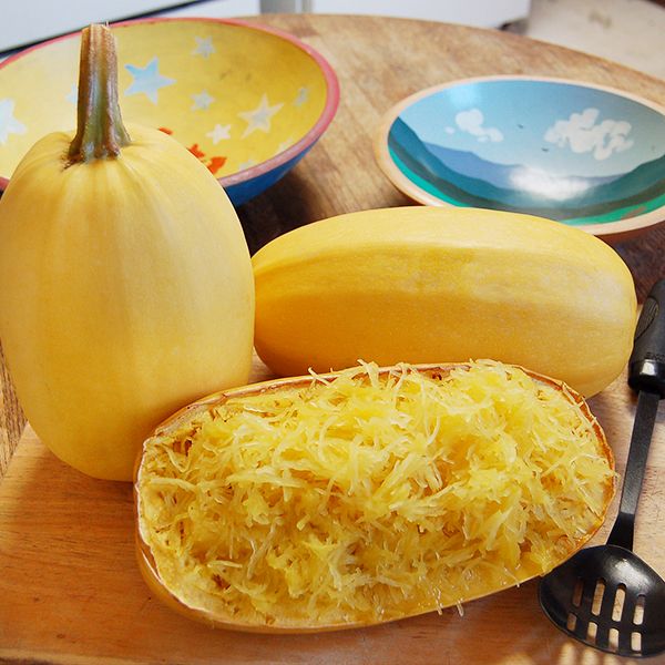 spaghetti squash seeds for planting Spaghetti Squash Seeds