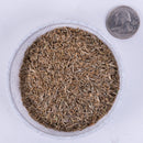 All-Purpose Untreated Grass Seed Blend
