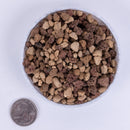 Tinyroots Premium Blend Bonsai Soil - 2 qt