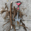 Radius Root Slayer
