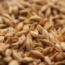 Best Malz Acidulated Malt