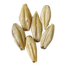Briess Victory Malt