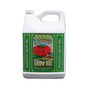 FoxFarm Grow Big - Soil Formula
