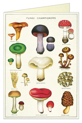 Cavallini Papers Mushrooms Greeting Card