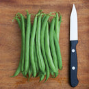 Provider Bean Seeds