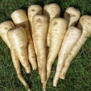 Halblange Parsnip Seeds