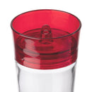 More Birds® Garnet Hummingbird Feeder with Ant Moat - 20 oz