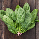 Renegade F1 Spinach Seeds