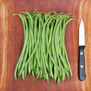 Maxibel Haricot Vert Bean Seeds