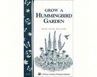 Grow A Hummingbird Garden