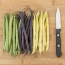 Mardi Gras Blend Bean Seeds