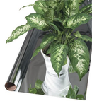 Highly Reflective Mylar Film - 2 mil