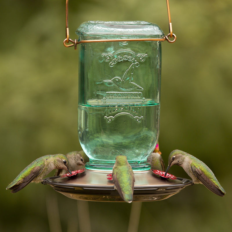 More Birds® Vintage Mason Jar Hummingbird Feeder - 25 oz