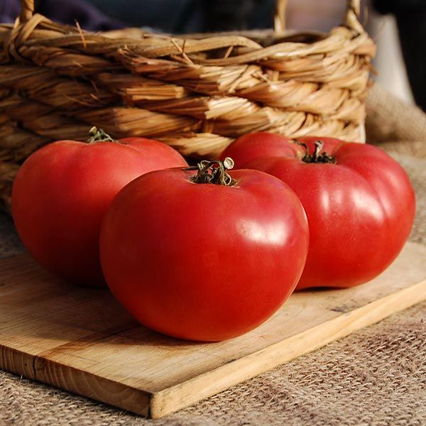 red rose tomato seeds Rose de Berne Tomato