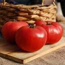 Rose de Berne Tomato Seeds