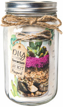 SuperMoss Newport DIY Terrarium Kit