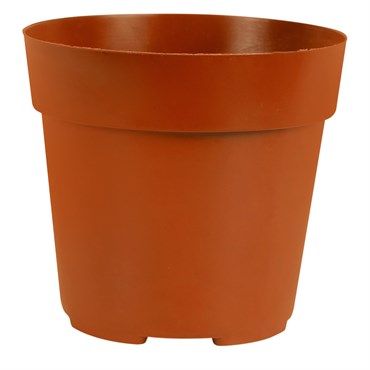 clay or plastic pots for succulents Mini Plastic Nursery Pot