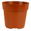 Mini Plastic Nursery Pot - 2.5 in