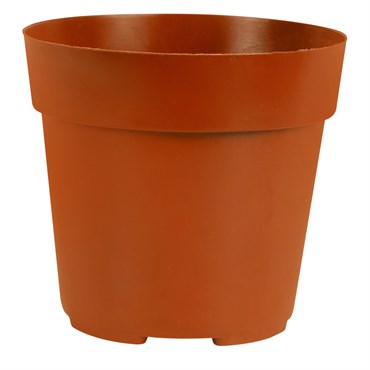 Mini Plastic Nursery Pot - 2.5 in