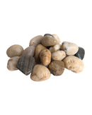 SuperMoss 2lb Decorative Stones - Assorted Colors