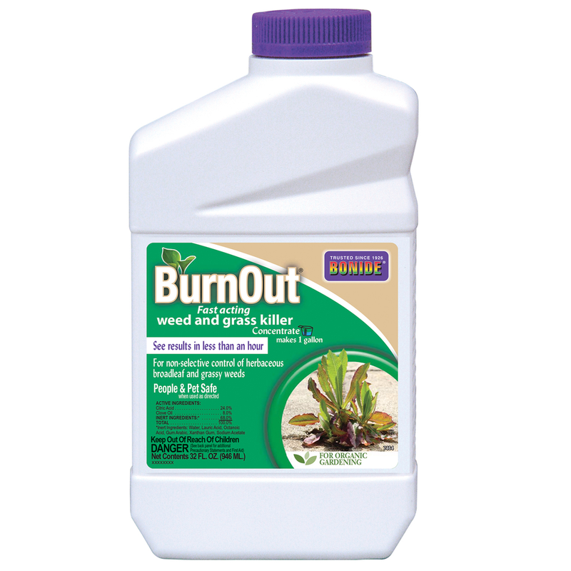 Bonide BurnOut Organic Weed & Grass Killer