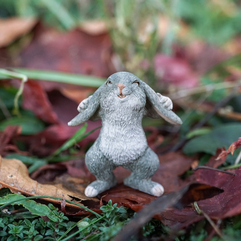 Mini Adorable Rabbit