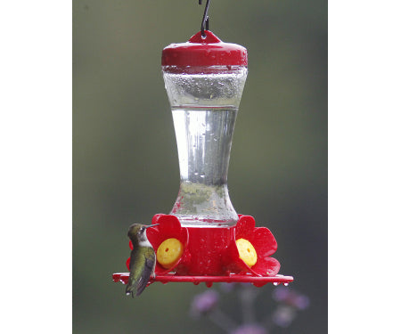 More Birds® Impatiens Hummingbird Feeder - 10 oz