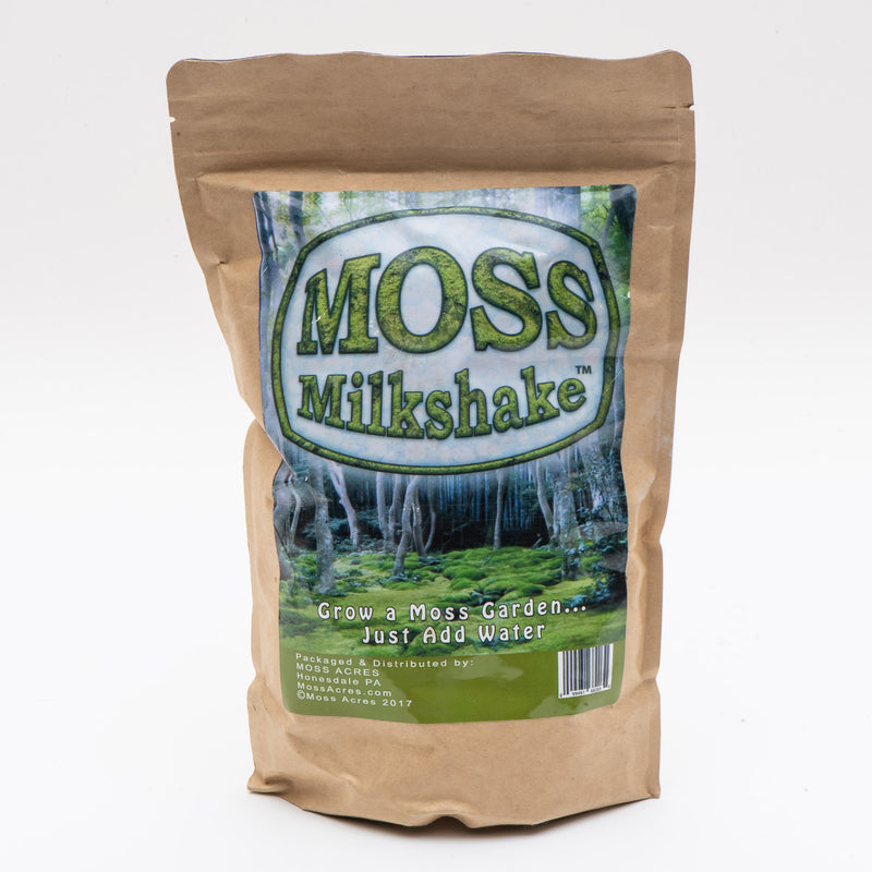 Moss Milkshake for Shade