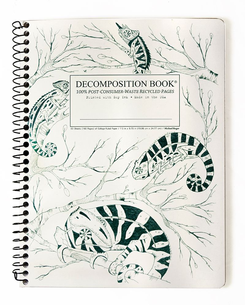 Chameleon Decomposition Book