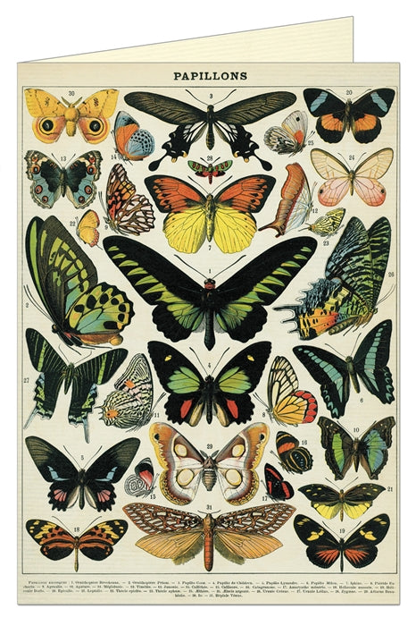 Cavallini Papers Butterflies Greeting Card