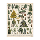 Arboretum Puzzle - 1,000 Pieces