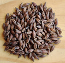 Murphy & Rude Roasted Barley